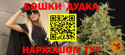 прущие крисы Ирбит