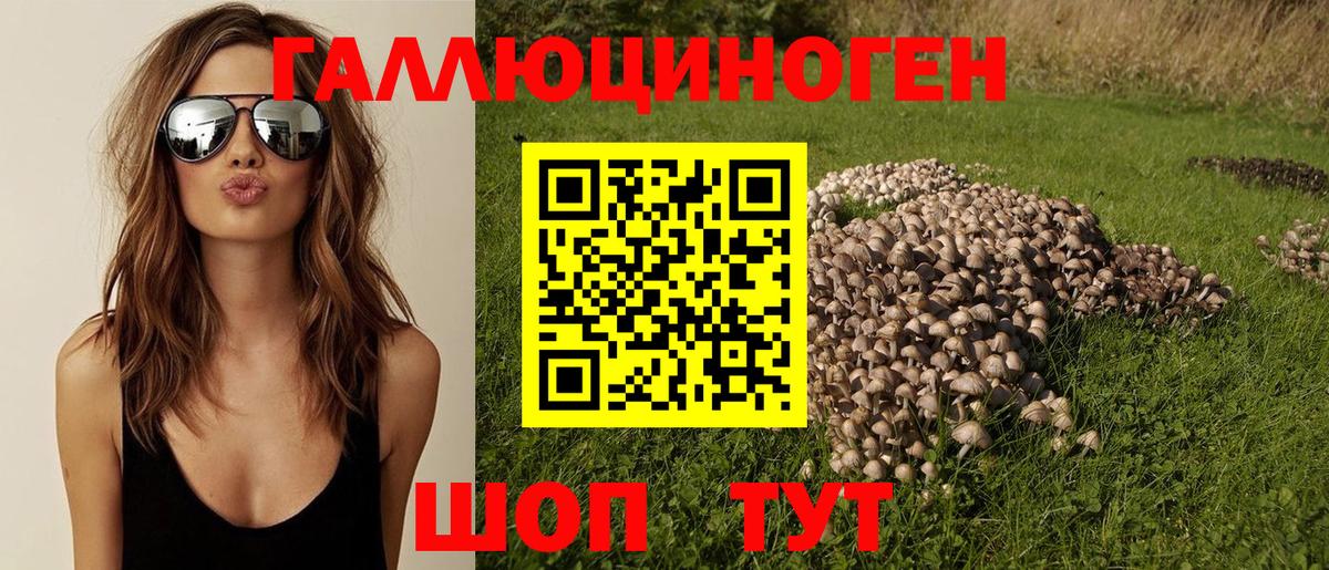 Псилоцибиновые грибы ЛСД Кумертау