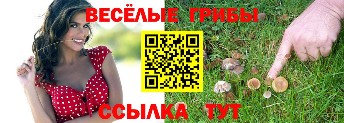 Псилоцибиновые грибы ЛСД  Галлюциногенные грибы Magic Shrooms  Вход с VPN  Кумертау 